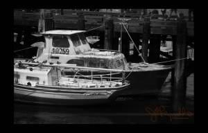 Boats, Morro Bay, 2009