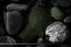 Stones, Squalicum Beach, 2009-01-26