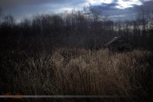 Shack, Aldrich Rd, 2010-02-03