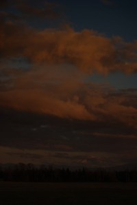 Mt. Baker seen from Aldrich Rd, Ferndale 2010-02-08