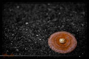 Foundation Bolt, 2010-01-26