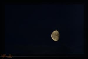 Moon, 2010-03-04