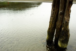 Ocean Shores, Iron Springs Pier 04, 2010-08-03