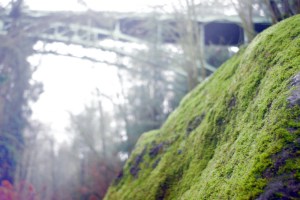 Ravenna-Rock-Footbridge, 2010-12-23