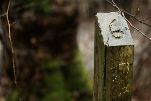 Ravenna, Trail Marker 2010-12-23