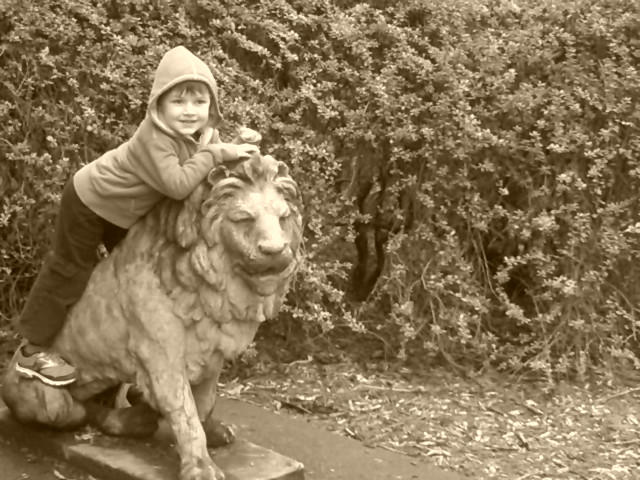Jesse, Woodland Park Zoo