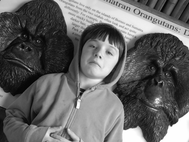 Liam and the Orangutans