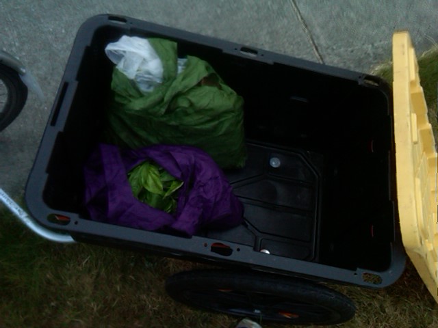 bags asking for entropy