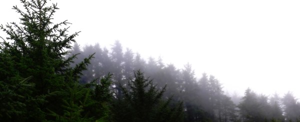 Misty Cape Dissapointment [wide wallpaper]