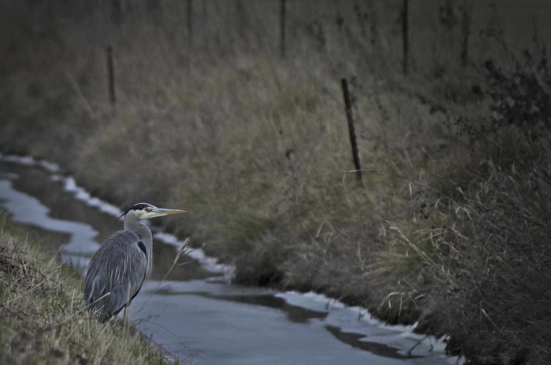 2016-01-03_gbh_0001-2400x1590