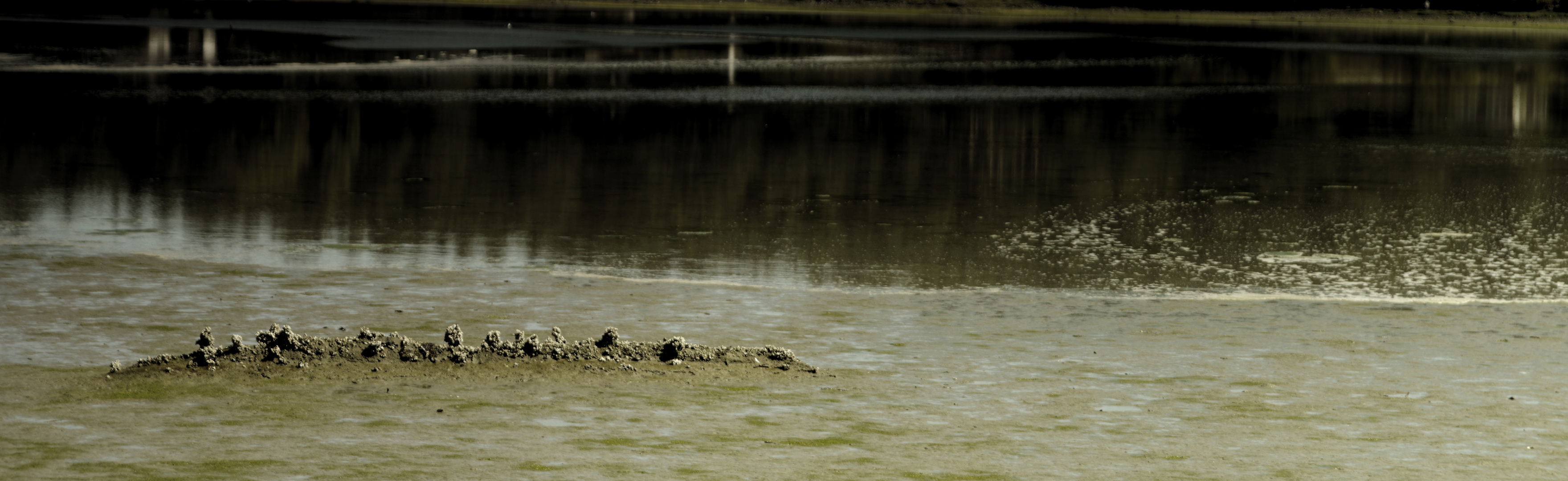 2015-08-03-lopez-salt-mou nd-3520x1080