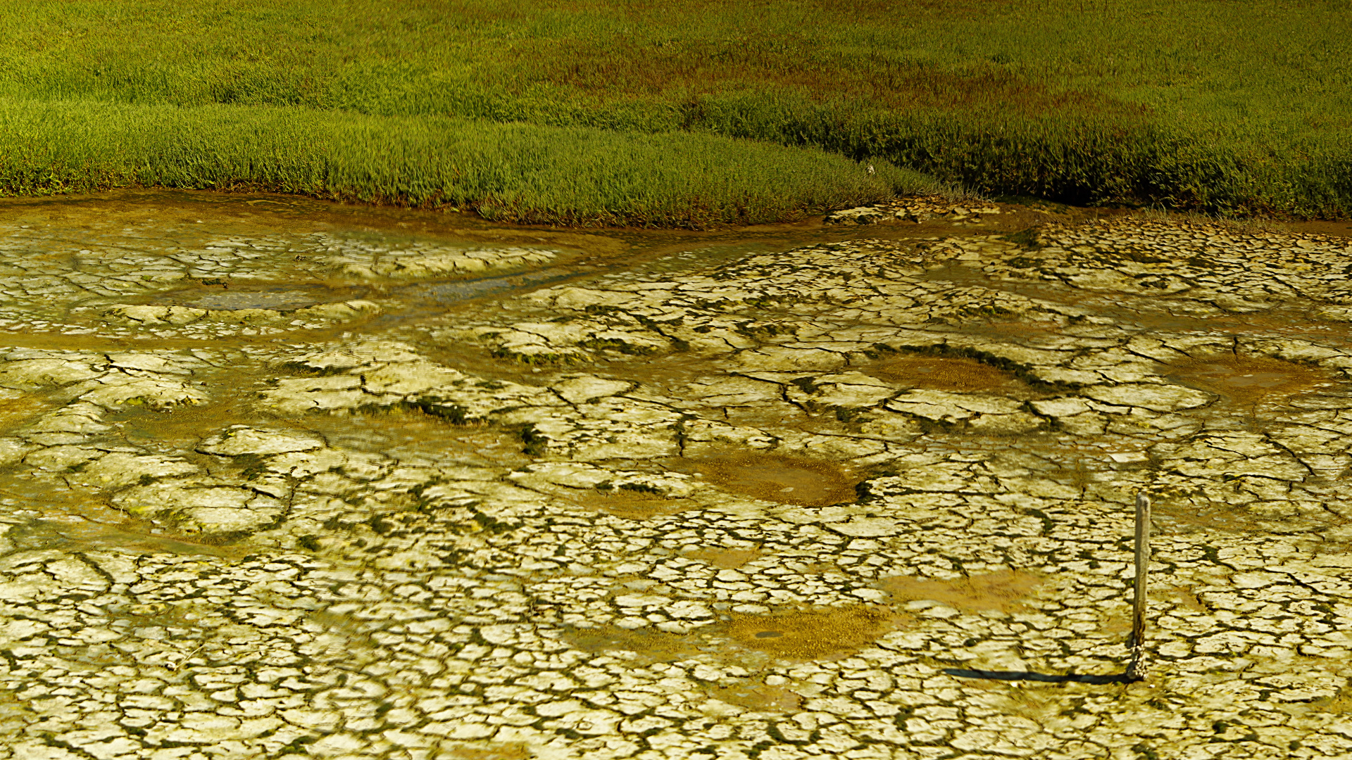 pano01_fused-1920x1080